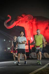 BIB: 
                            <button type="button" onclick="openModal(26531201)" class="btn btn-primary btn-sm float-right btn-popup" data-toggle="modal" data-target=".modal-high-quality">
                        <i class="fas fa-shopping-cart"></i> Add to Cart
                    </button>
                                            <button type="button" onclick="isThisMe(26531201, true)" class="btn btn-success btn-sm float-right btn-popup btn-isme hidden" data-toggle="tooltip" data-placement="bottom" title="นี่คือรูปของคุณใช่ไหม คลิกที่นี่เพื่อเอาเข้าอัลบั้ม">
                        <i class="fas fa-plus"></i> Add to album
                    </button>
                    <button type="button" onclick="isThisMe(26531201, false)" class="btn btn-warning btn-sm float-right btn-popup btn-isnotme hidden">
                        <i class="fas fa-ban"></i> Remove from album
                    </button>